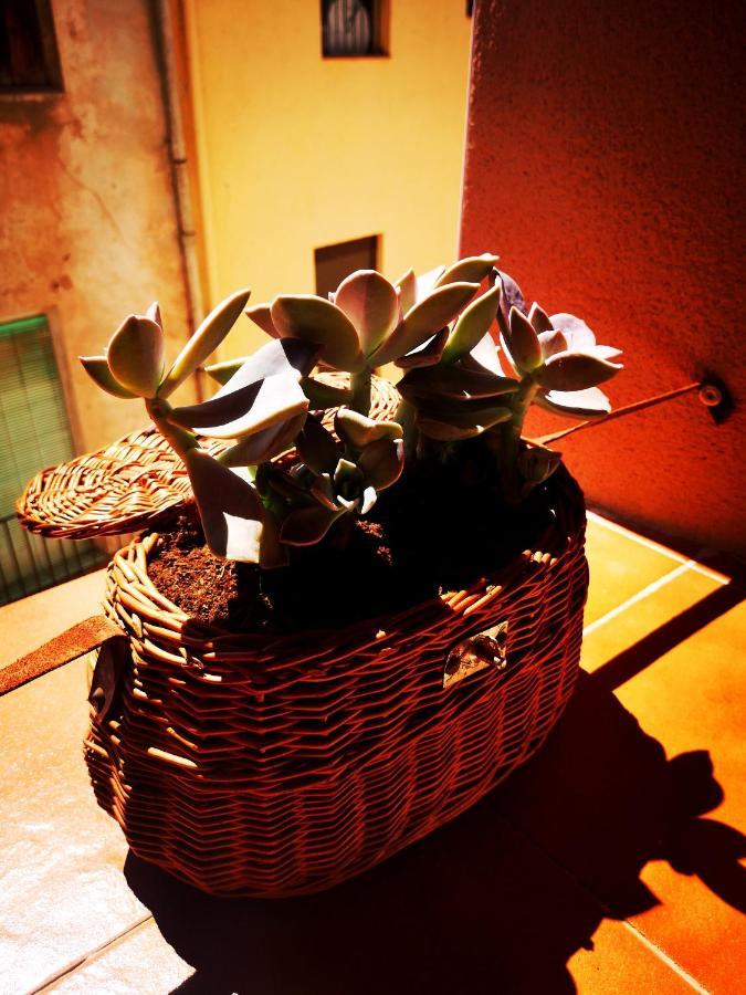 Cornu Karma Apartment Siuranella Cornudella de Monsant Eksteriør bilde